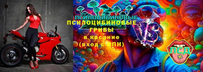 Галлюциногенные грибы Magic Shrooms  KRAKEN онион  Бежецк 